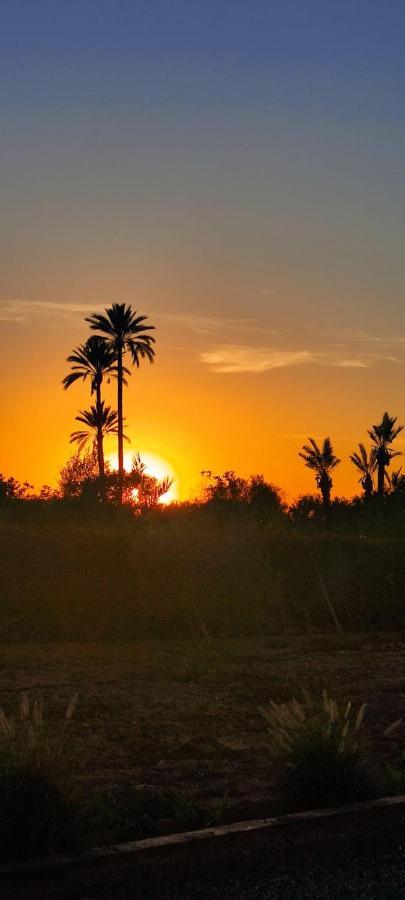 Gite & Camping Route Ouarzazate Panzió Chwiter Kültér fotó